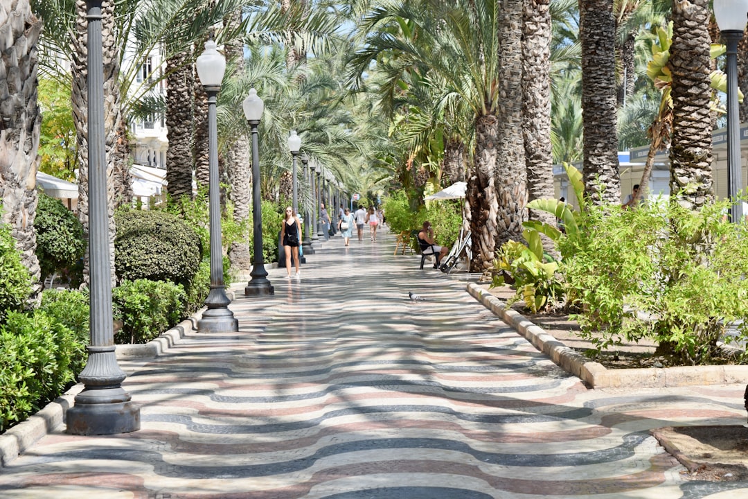 Understanding Spanish property listings: decoding common terms and abbreviations