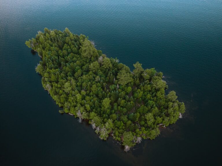 Urbino (Marken): Renaissance und Natur – ist die Region um Urbino ein guter Geheimtipp für Käufer?