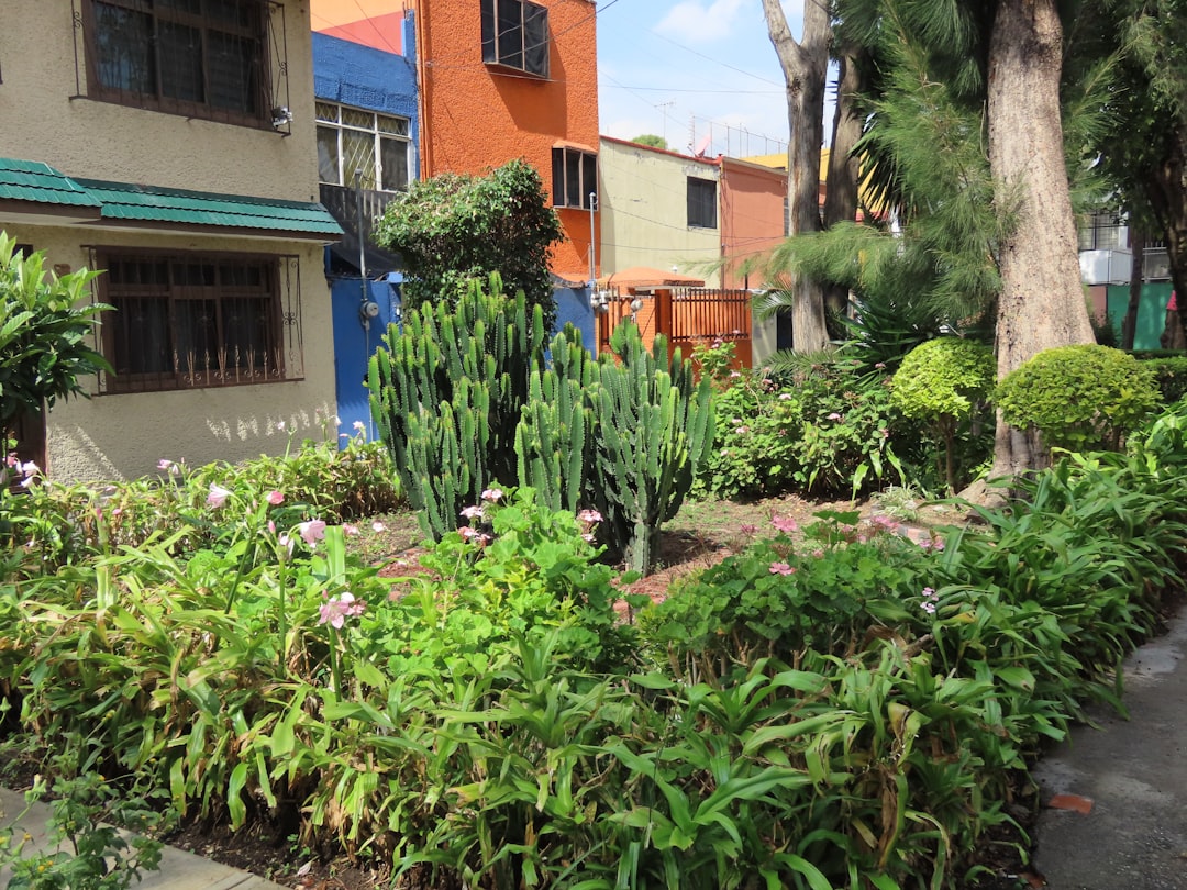 Veilig kopen in Mexico: due diligence en bescherming tegen vastgoedfraude