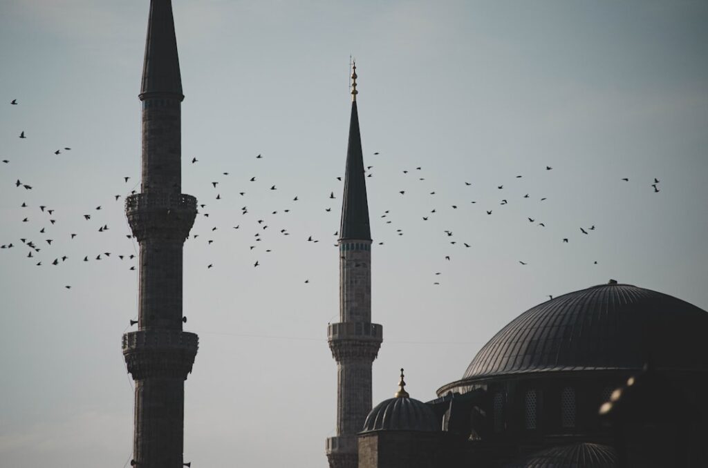 Verhuizen naar Turkije: praktische tips voor het verschepen van je inboedel