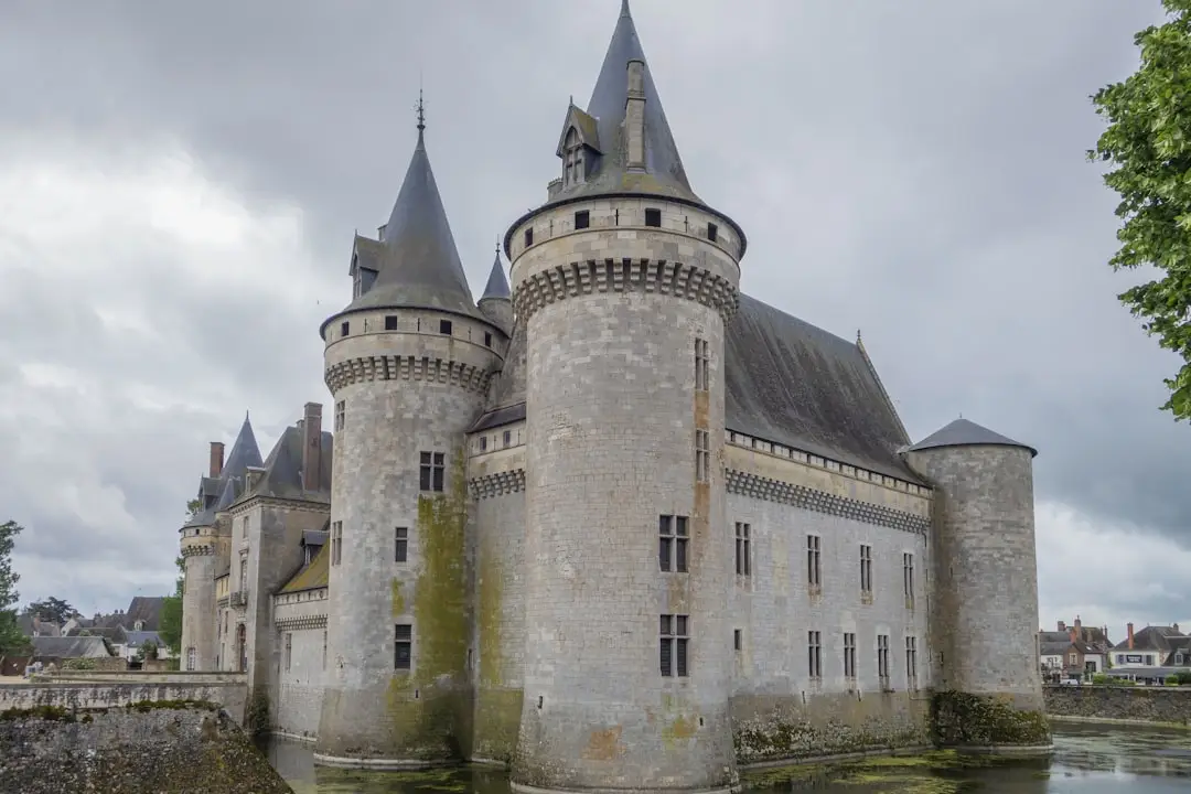 a castle with a moat
