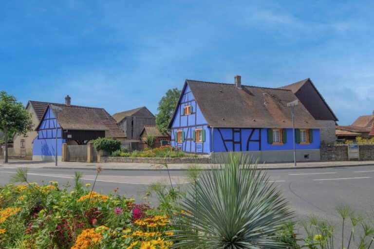 Ejendomsmarkedet i Alsace: Dynamisk Strasbourg og eftertragtede landsbyer
