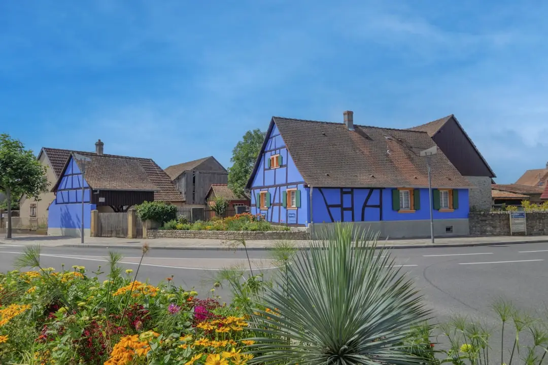 a row of houses with blue paint on the side of the road