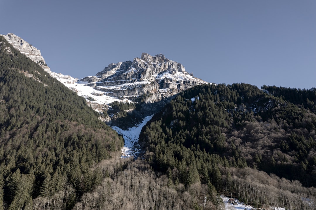 a snow covered mountain with a forest below