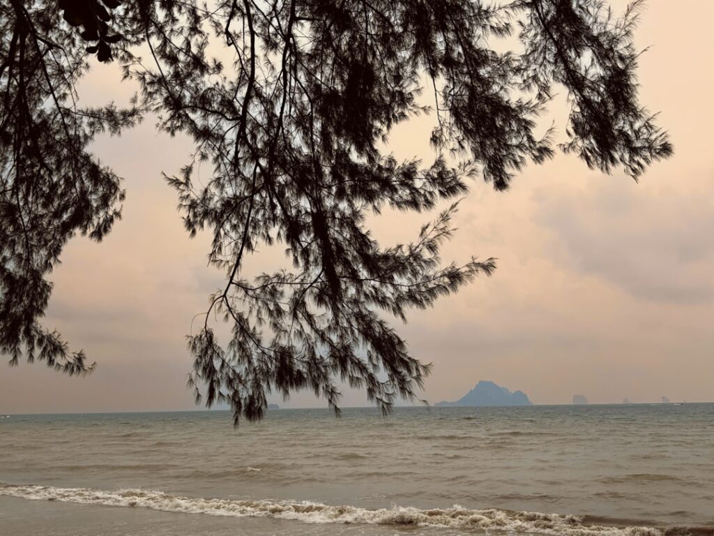 Äganderätt i Thailand: hus vs lägenhet – vad gäller för mark och bostadsrätt