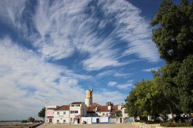 Où acheter en Lorraine ? Les villes et villages à privilégier