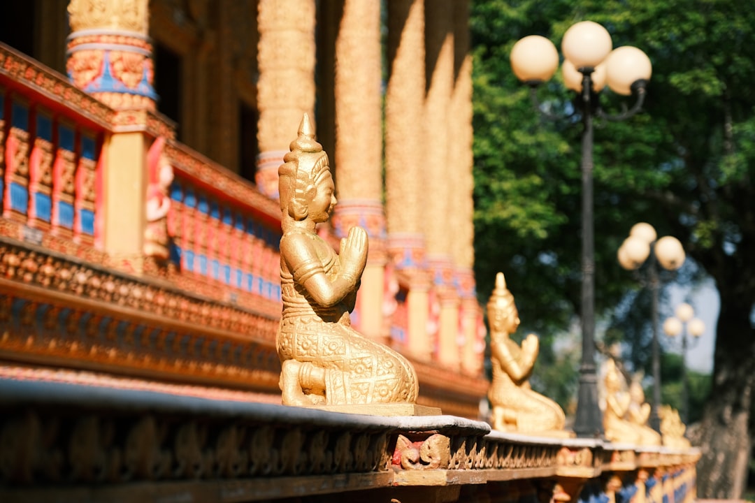 Comprare una fattoria in Thailandia: sogno rurale tra palme e risaie, è un progetto fattibile?