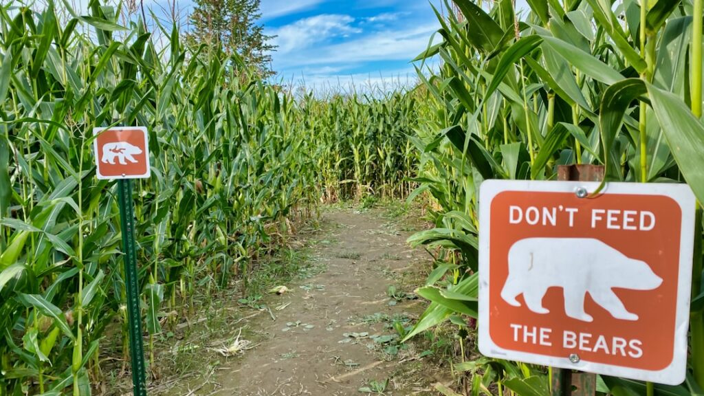 Costo de vida en México vs España: ¿qué esperar al mudarte?