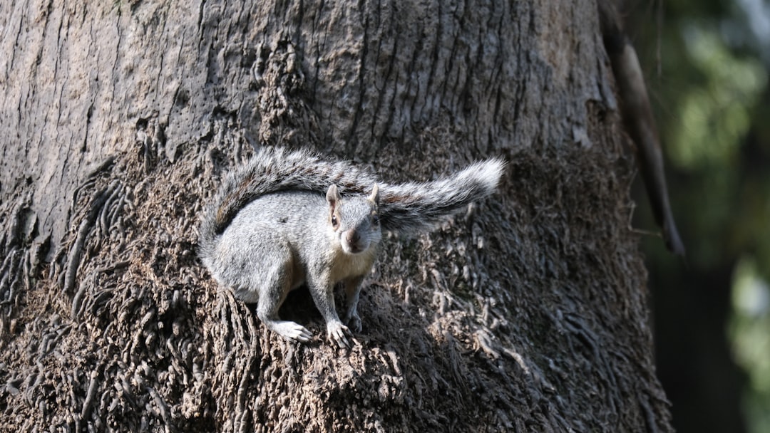 A distância e o fuso horário: desafios de ter uma casa no México morando em outro país