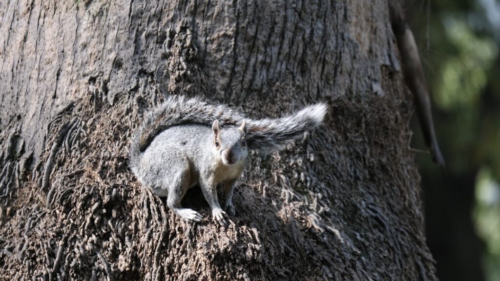 ¿Dónde comprar casa en México? Los mejores destinos para expatriados