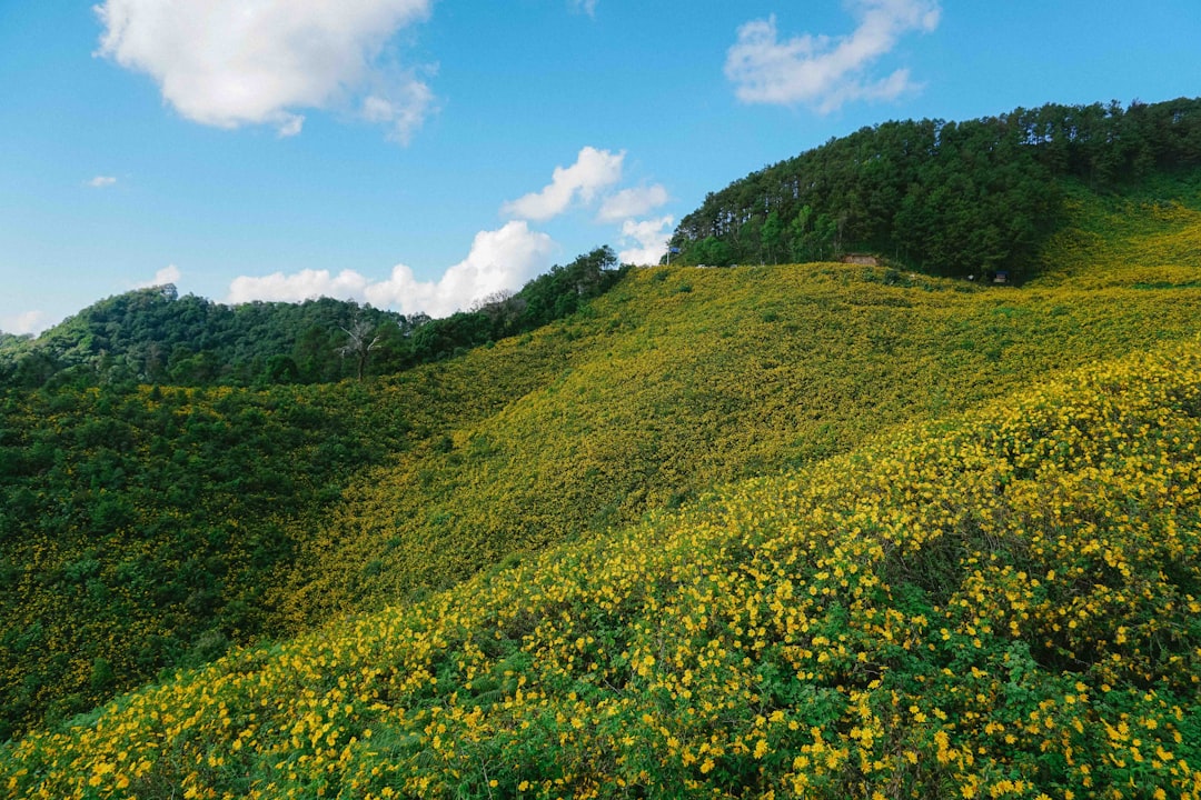 Så finansierar du din drömbostad i Thailand från Sverige