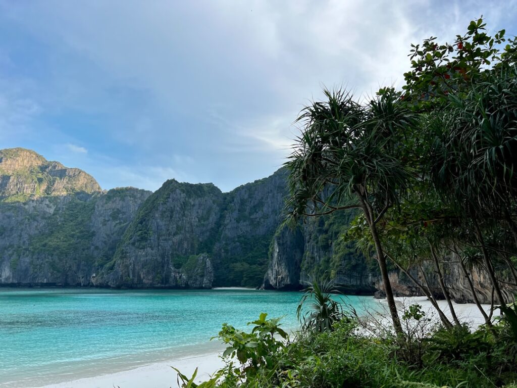 Hage og basseng: vedlikehold av uteområder i Thailand