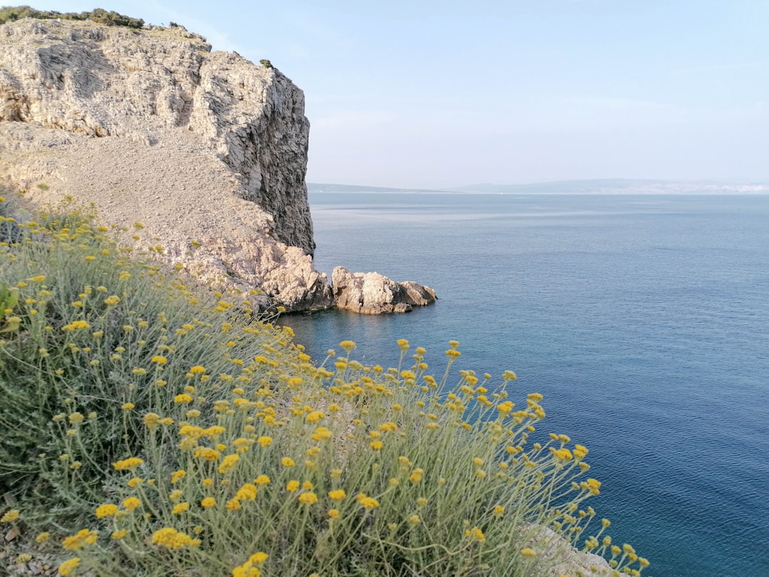 Kupnja stana u Hrvatskoj: pričuve, održavanje zgrade i susjedi