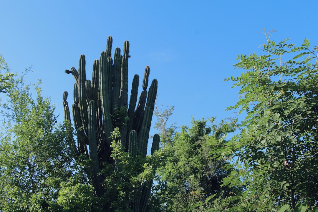 Медицина и здоровье: доступность медицинских услуг в Мексике для экспатов