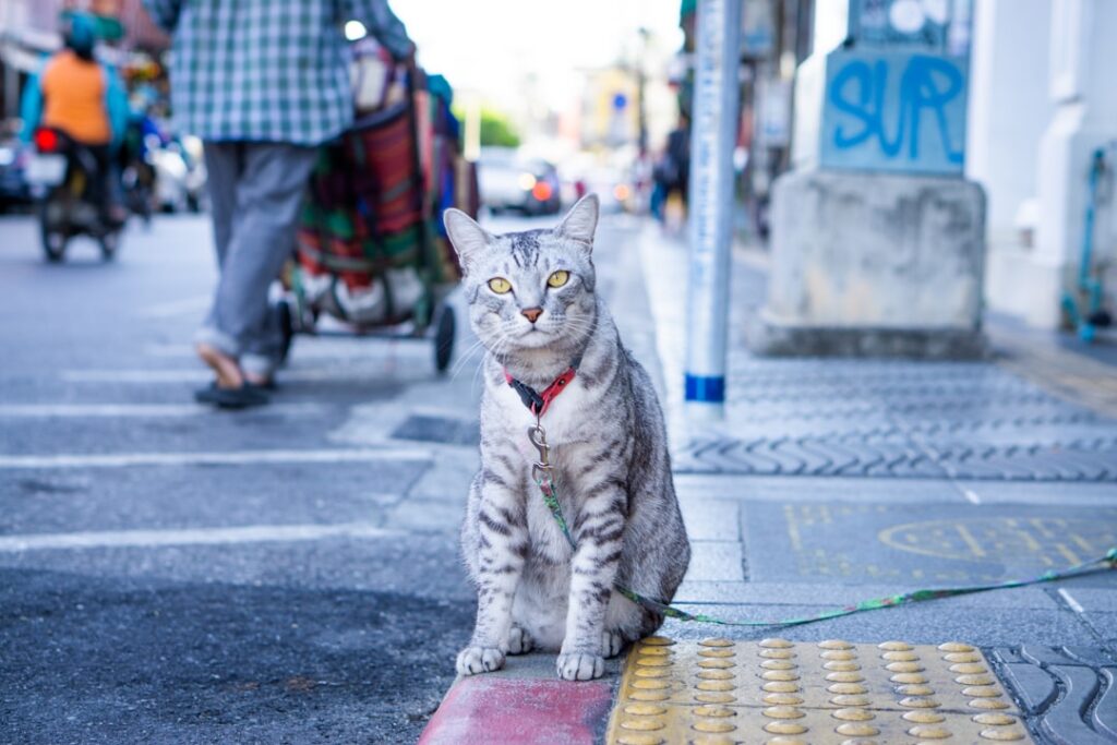 Norske skatteregler for eiendom i Thailand