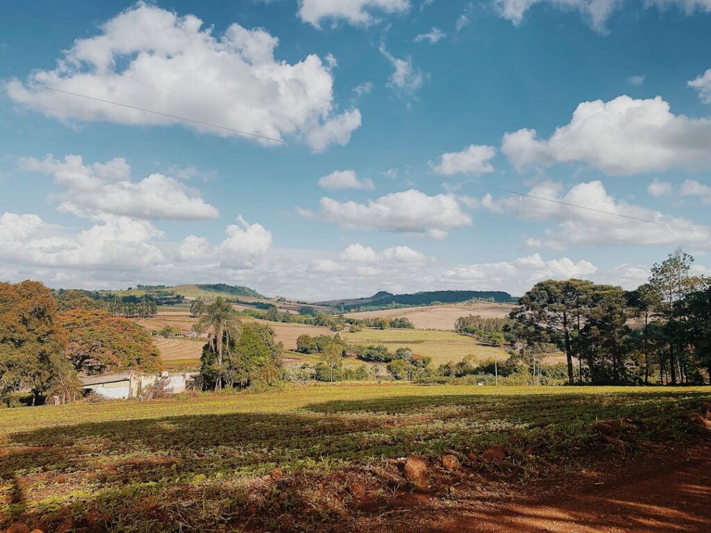 Notaio, avvocato o ambos?: ruoli professionali nell'acquisto immobiliare in Brasile