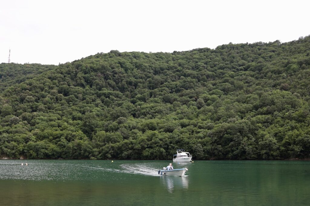 Nova gradnja naspram stare kamene kuće u Hrvatskoj – prednosti i mane