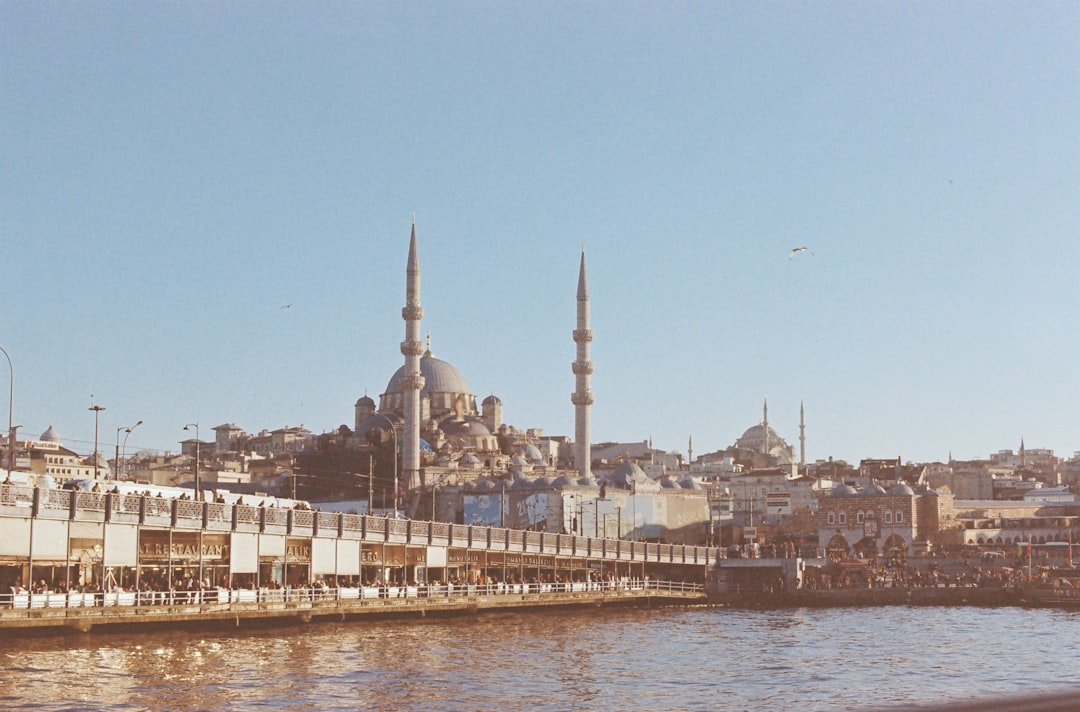 Переезд в Турцию с домашними животными: правила ввоза питомцев