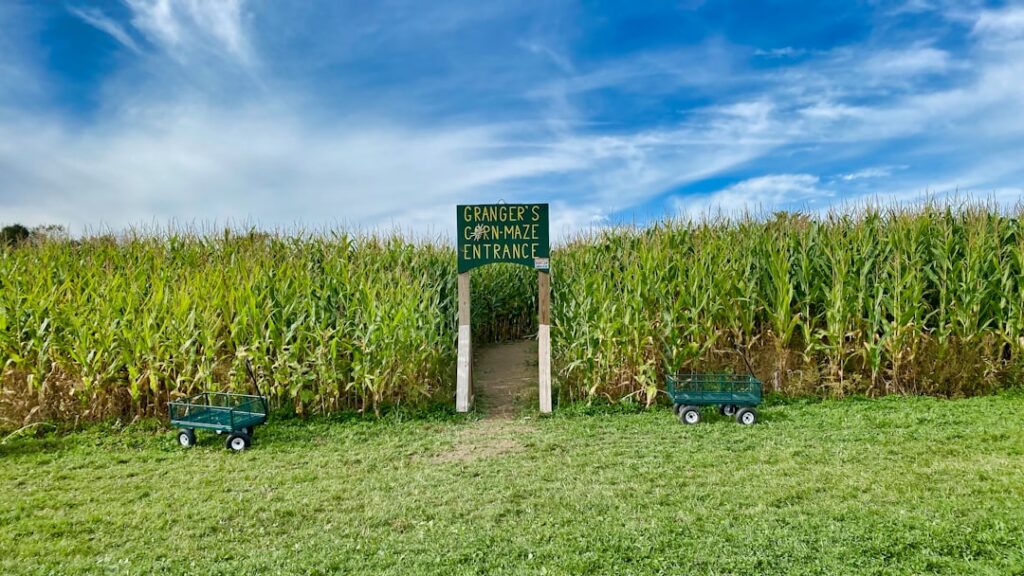 Perspectivas del mercado inmobiliario en México 2025: tendencias para compradores extranjeros