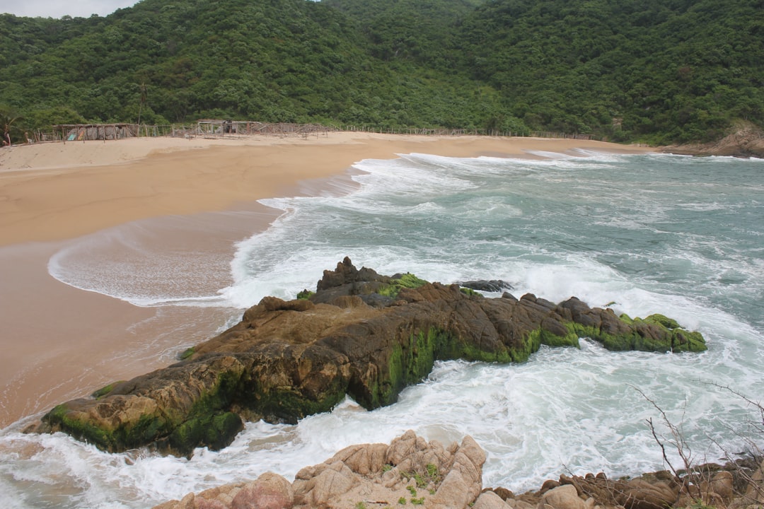 Property management in Brasile: affidarsi a servizi di gestione per la tua casa a distanza