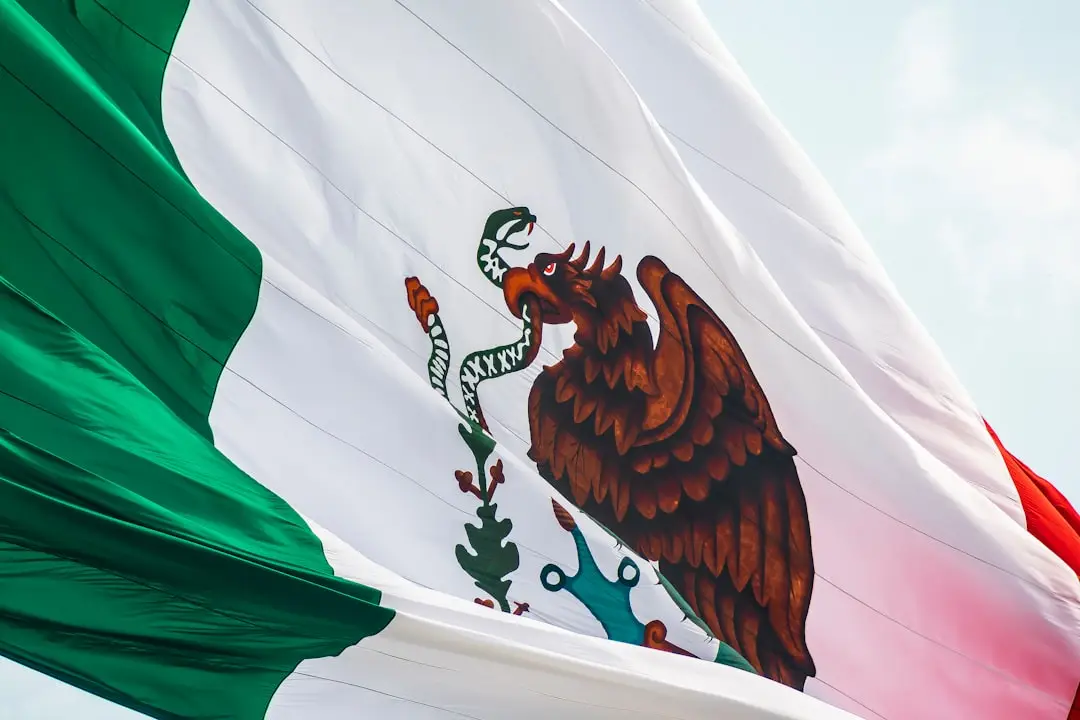 Seguridad en México: cómo elegir zonas seguras para vivir y precauciones