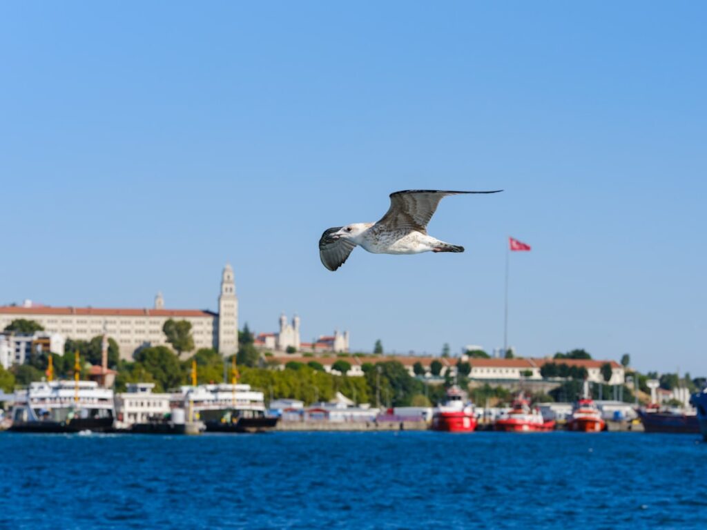 Стоит ли покупать квартиру в Турции?