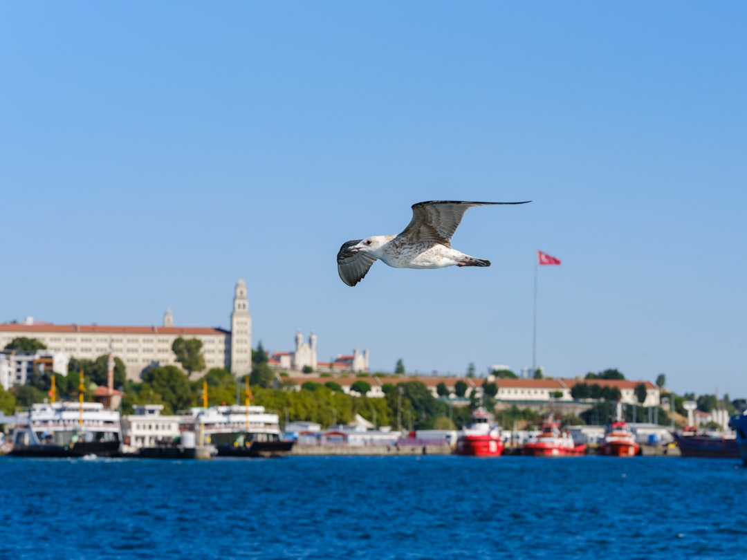 Стоит ли покупать квартиру в Турции?