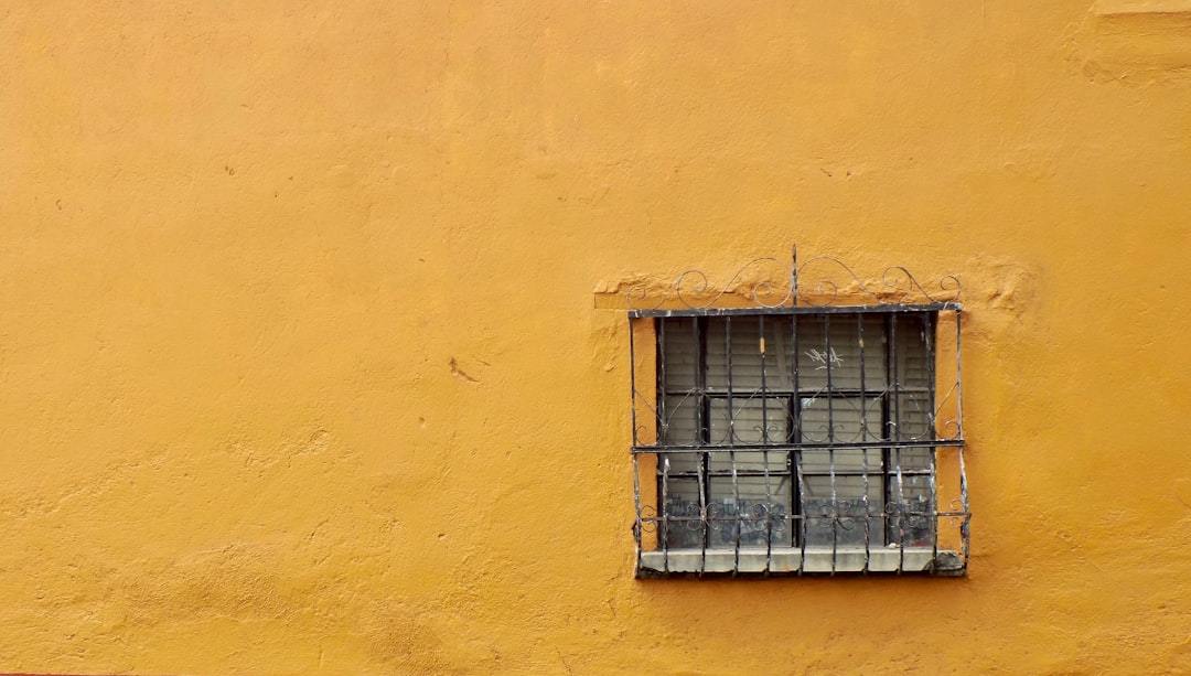 Terrenos ejidais e comunais: cuidado ao comprar terras no México