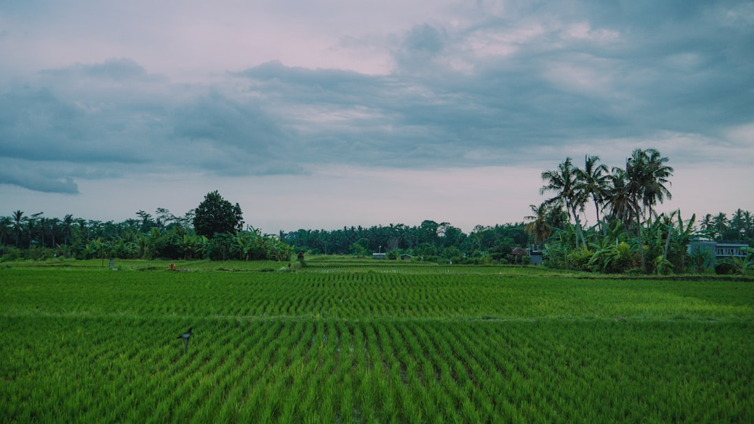 Thaimaa eläkeparatiisina – opas asunnon ostajalle