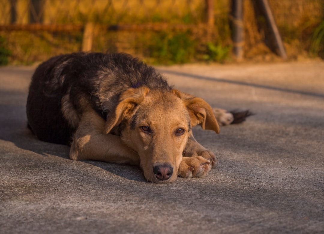 Troškovi posjedovanja nekretnine u Hrvatskoj