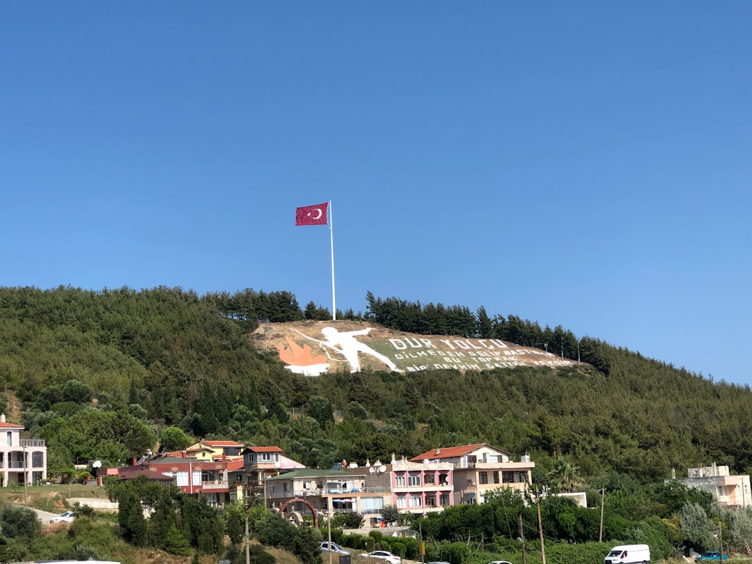 Türkiye’de eğitim sistemi: yabancı aileler için okul seçenekleri