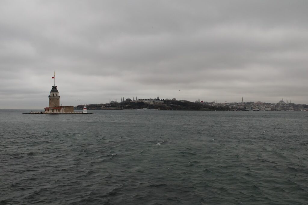 Türkiye’de uzaktan çalışmak : dijital göçebeler ve ev sahipliği