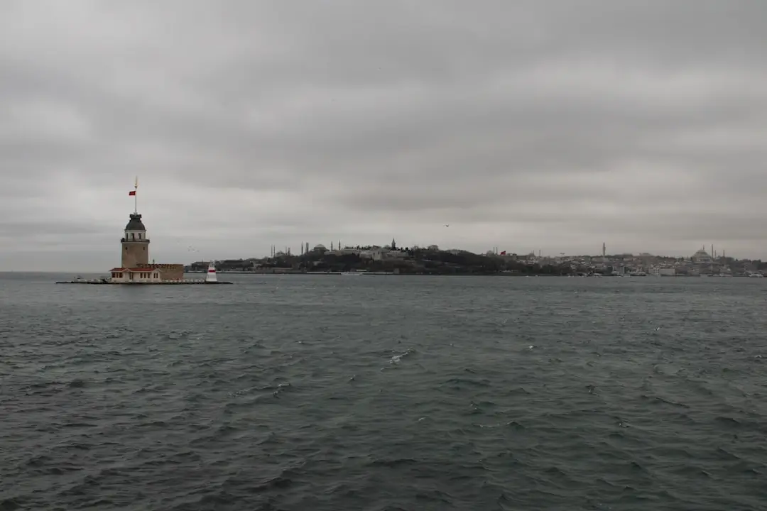 Türkiye’de uzaktan çalışmak : dijital göçebeler ve ev sahipliği