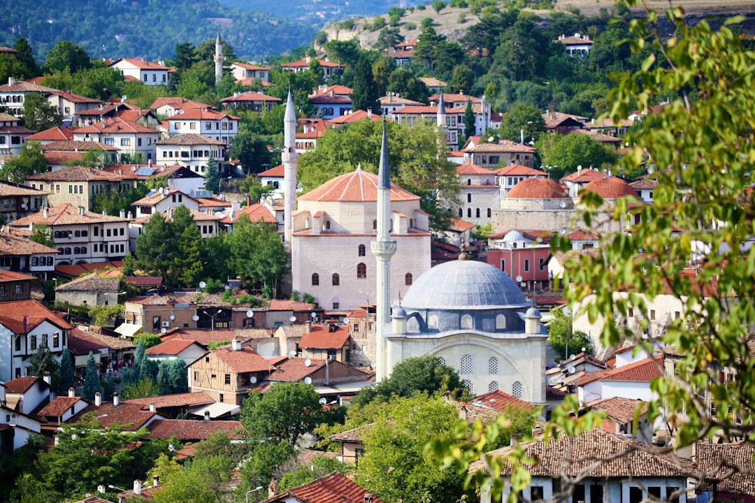 Türkiye’de yeni evinizi döşemek: mobilya satın alma mı taşıma mı?