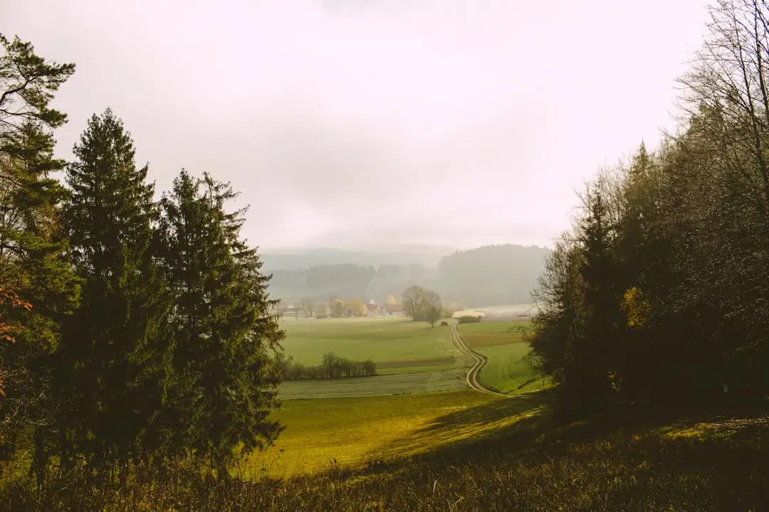 Villages pittoresques d'Auvergne : nature préservée et charme historique