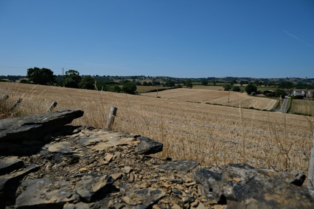 Les meilleurs endroits où acheter en Poitou-Charentes : côte ou campagne ?