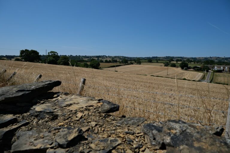 Cele mai bune locuri pentru a cumpăra în Poitou-Charentes: coastă sau regiune rurală?