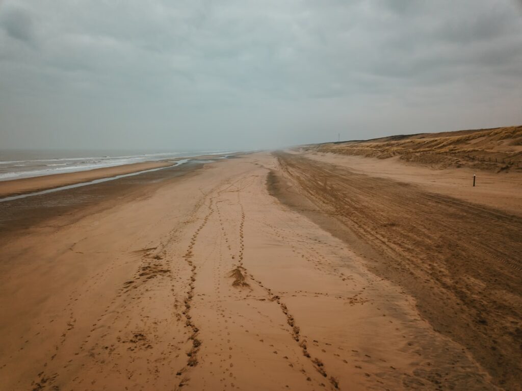 Vivre en Nord-Pas-de-Calais : dynamisme lillois et authenticité des Flandres