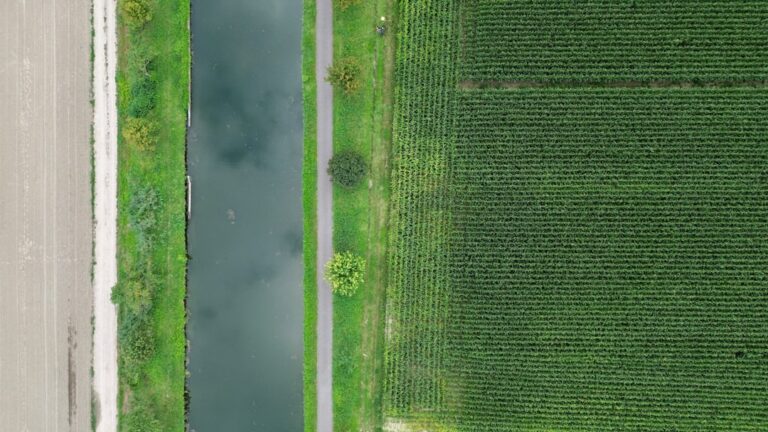 Waar kopen in Nord-Pas-de-Calais? Rijsel of de kust?