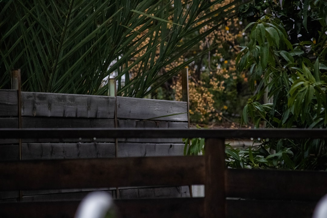 วีซ่าและสิทธิประโยชน์สำหรับผู้ซื้ออสังหาฯ ในไทย