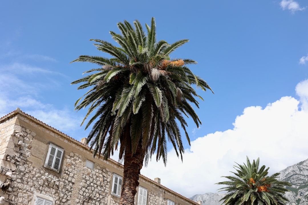 Vlasništvo nekretnine u Hrvatskoj: prava i obveze