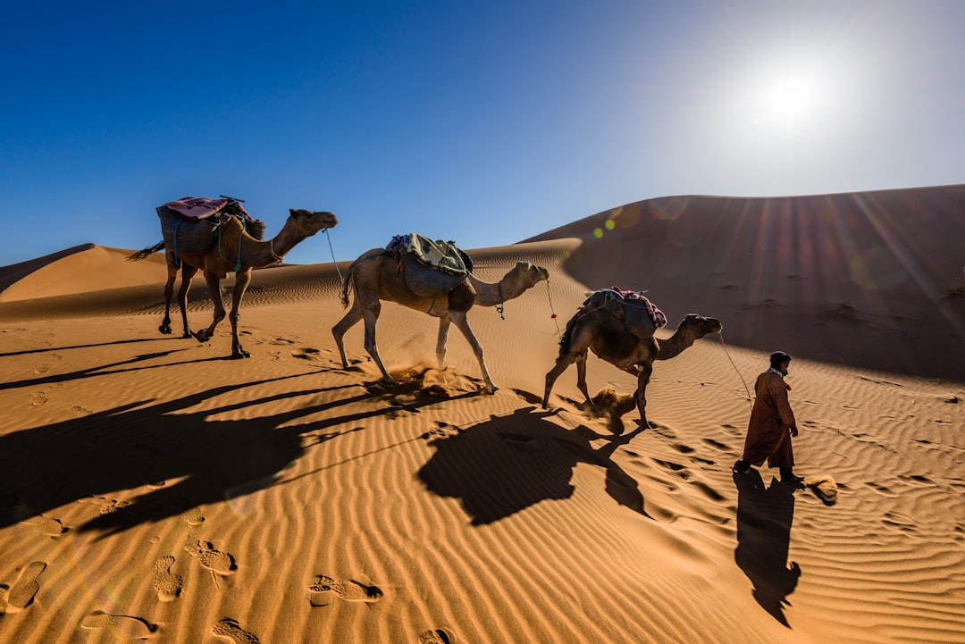 كيف تتجنب القرارات العاطفية والمتسرعة عند شراء منزلك الأول؟