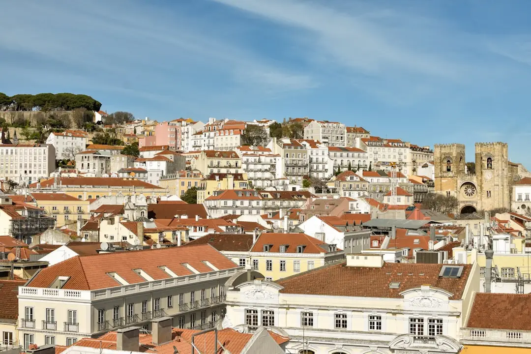 Où acheter dans la région de Castelo Branco : ville, campagne ou montagne ?