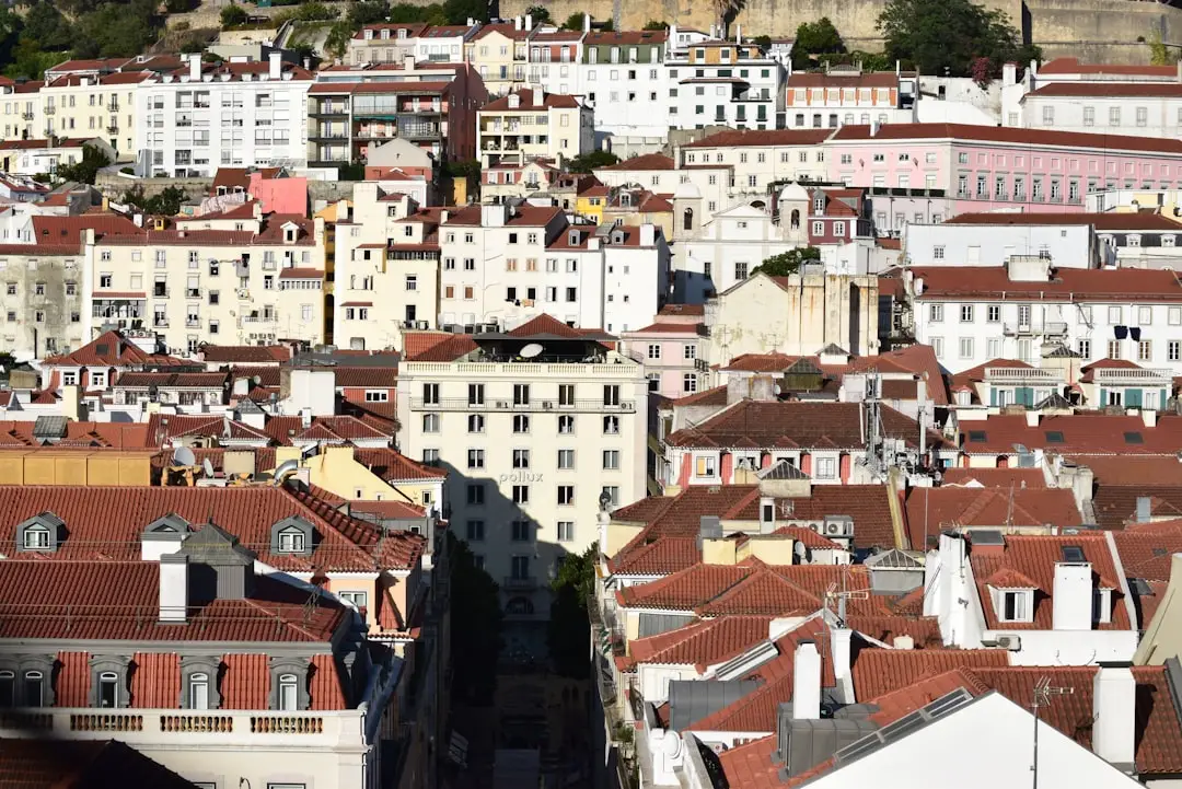 Vivre dans la « Venise du Portugal » : le charme de la région d’Aveiro