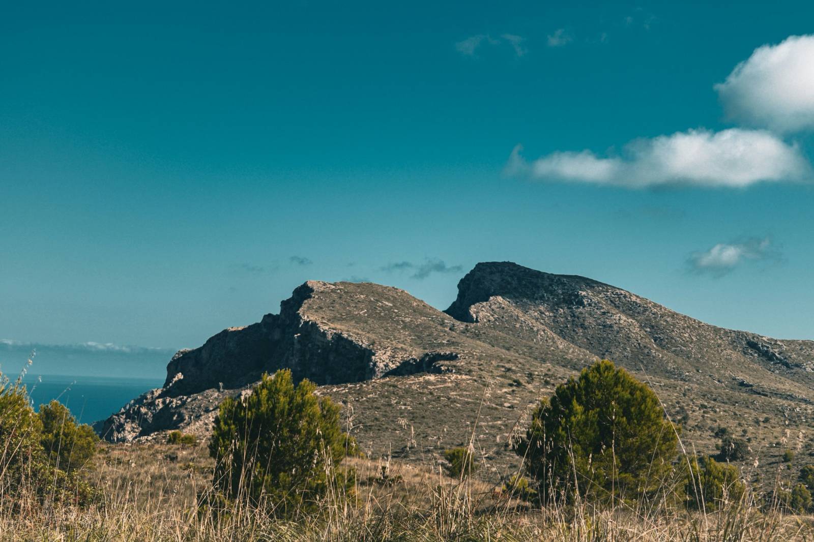 where-buy-mont-athos