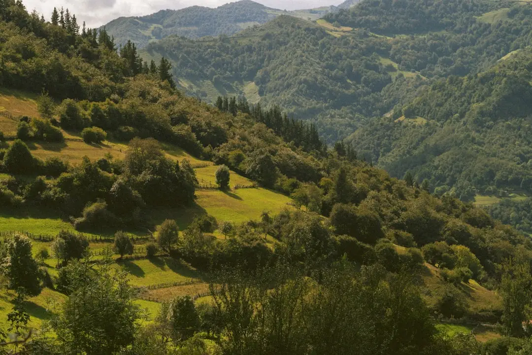 Asturies 2026 : nature atlantique, triangle urbain et marché en nette accélération