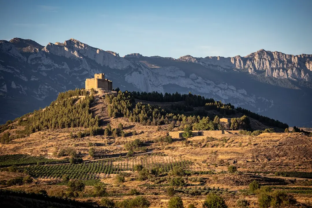 La Rioja 2026 : art de vivre viticole et opportunités immobilières