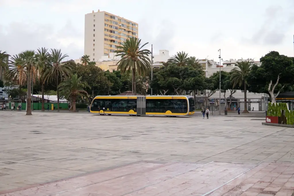 Où acheter aux Canaries : Tenerife, Lanzarote, Grande Canarie ou La Palma ?