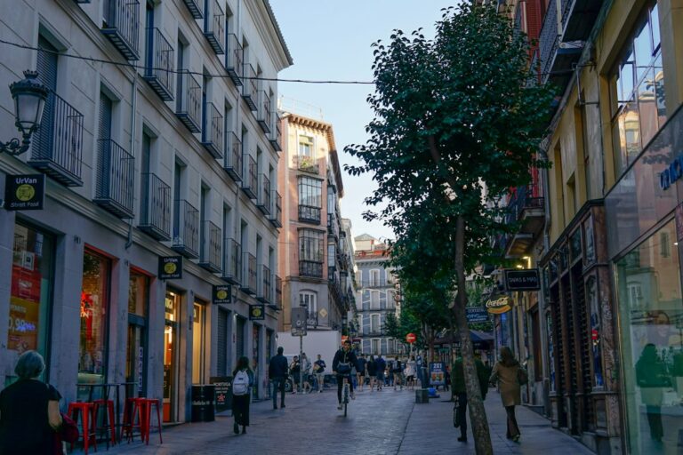 マドリードでどこを買うべきか：歴史的中心地、北部の住宅地、または緑豊かな郊外？