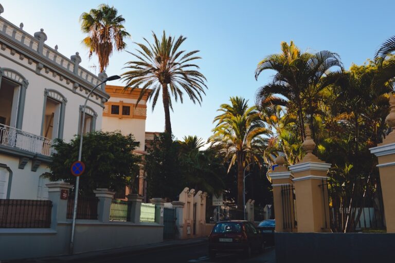 Living in the Canary Islands: mild climate and island rhythm all year round